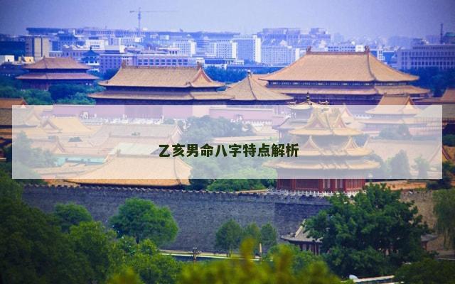 乙亥男命八字特点解析