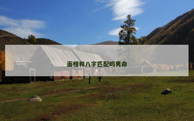 面相和八字匹配吗男命