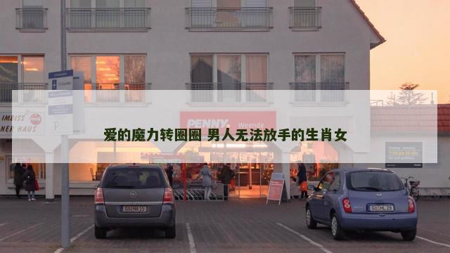 爱的魔力转圈圈 男人无法放手的生肖女
