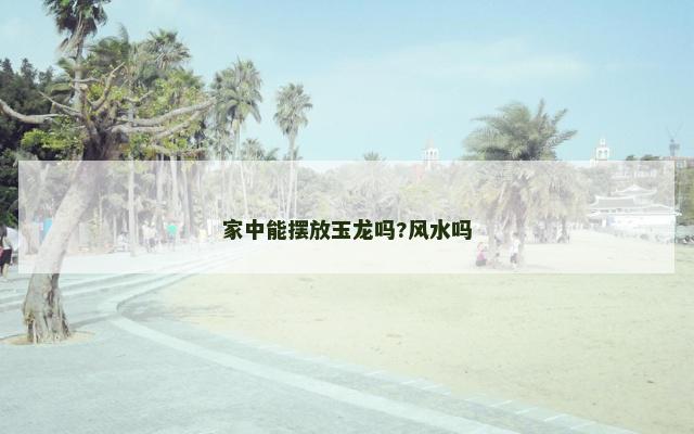 家中能摆放玉龙吗?风水吗