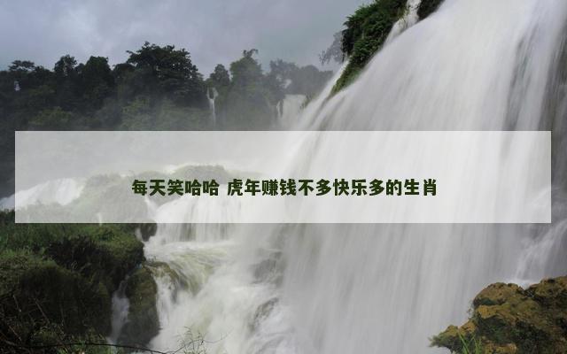 每天笑哈哈 虎年赚钱不多快乐多的生肖