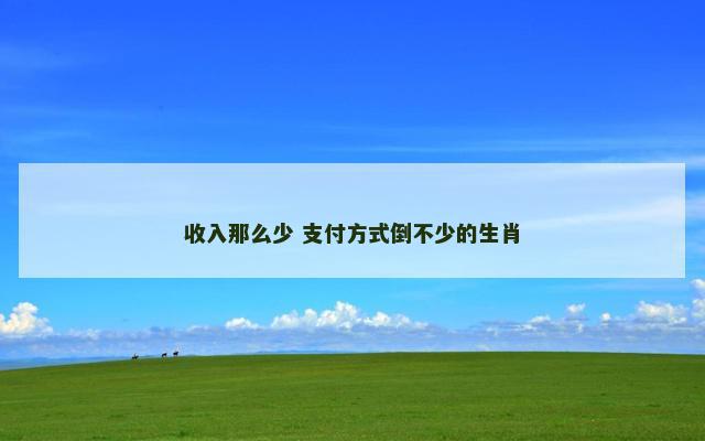 收入那么少 支付方式倒不少的生肖