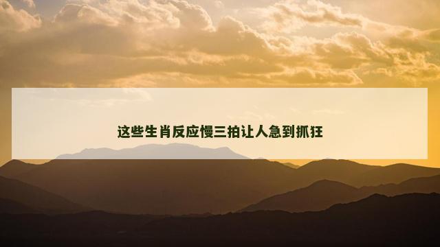 这些生肖反应慢三拍让人急到抓狂