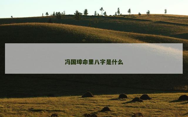 冯国璋命里八字是什么