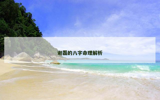 谢磊的八字命理解析