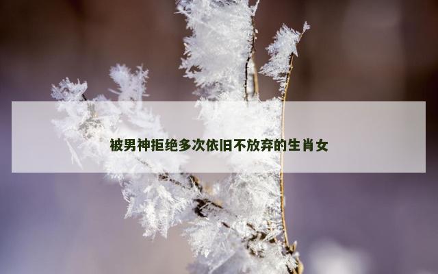 被男神拒绝多次依旧不放弃的生肖女