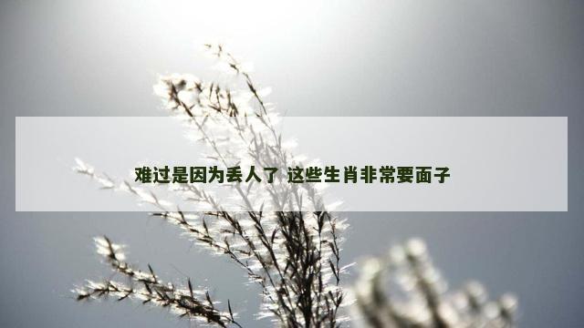 难过是因为丢人了 这些生肖非常要面子