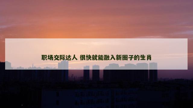 职场交际达人 很快就能融入新圈子的生肖