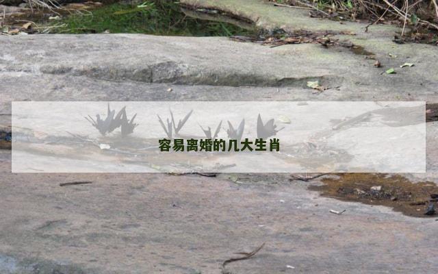 容易离婚的几大生肖