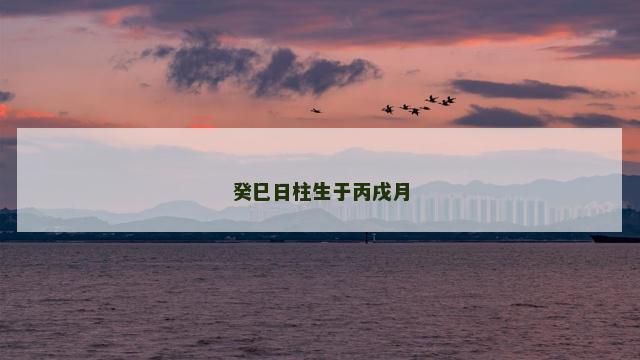 癸巳日柱生于丙戌月