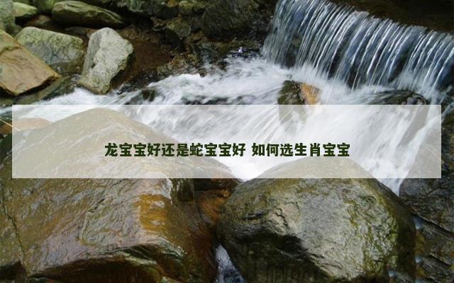 龙宝宝好还是蛇宝宝好 如何选生肖宝宝