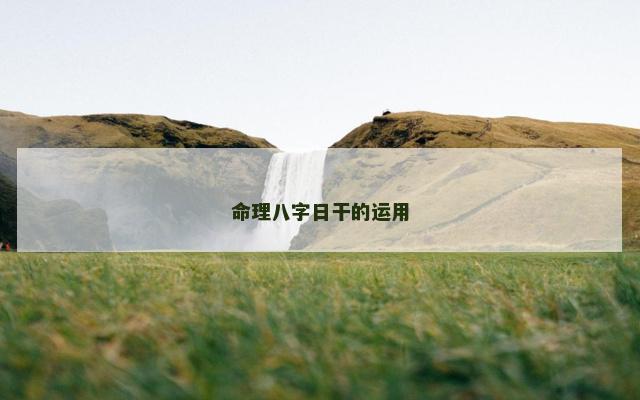 命理八字日干的运用