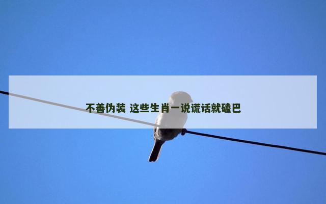 不善伪装 这些生肖一说谎话就磕巴