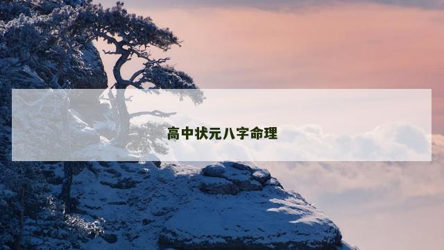 高中状元八字命理