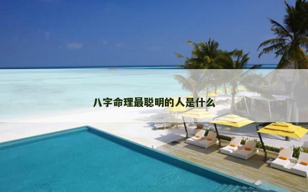 八字命理最聪明的人是什么
