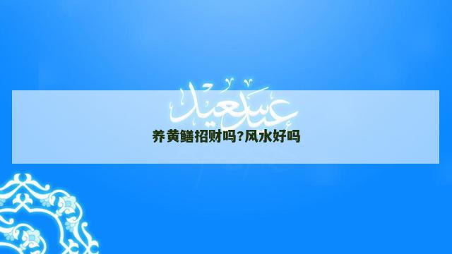 养黄鳝招财吗?风水好吗