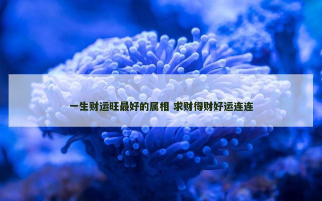 一生财运旺最好的属相 求财得财好运连连