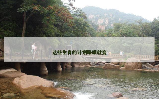 这些生肖的计划睁眼就变