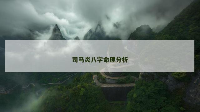 司马炎八字命理分析