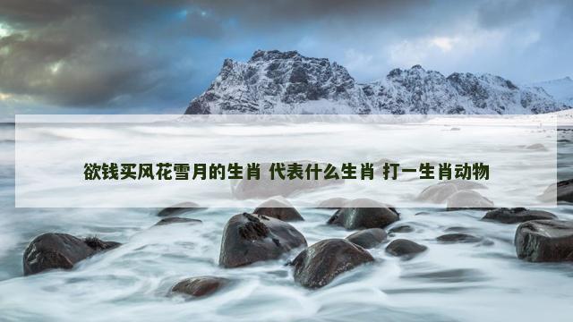 欲钱买风花雪月的生肖 代表什么生肖 打一生肖动物