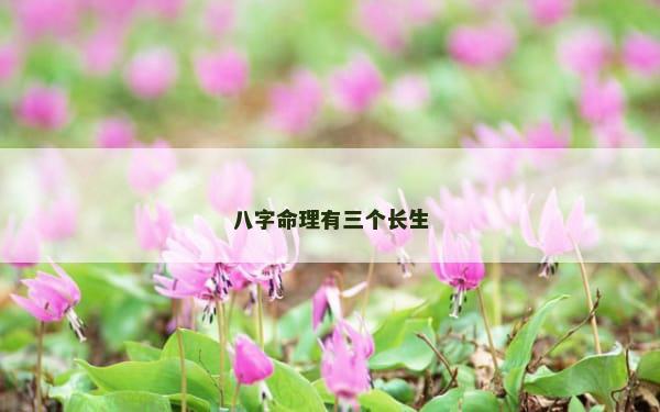 八字命理有三个长生