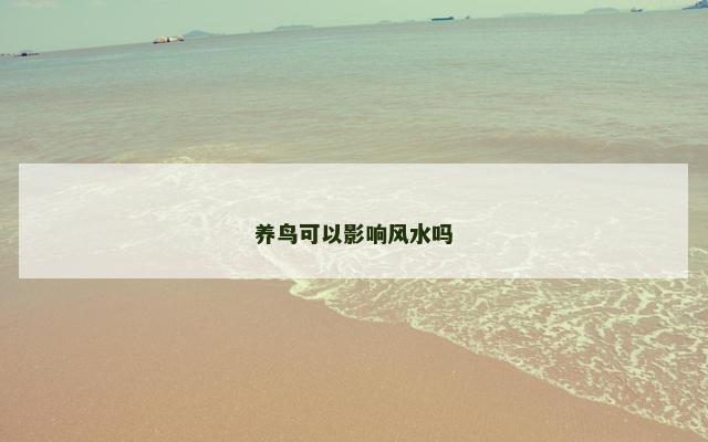 养鸟可以影响风水吗