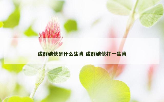 成群结伙是什么生肖 成群结伙打一生肖