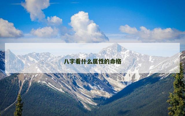 八字看什么属性的命格