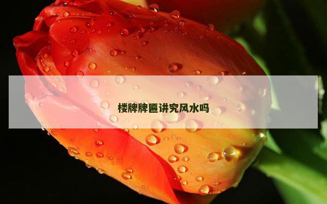 楼牌牌匾讲究风水吗