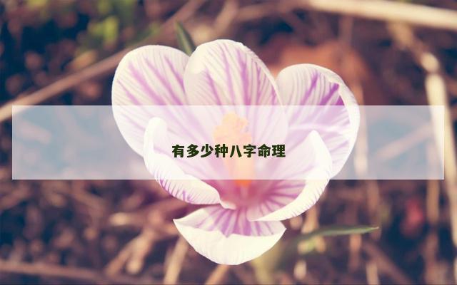 有多少种八字命理