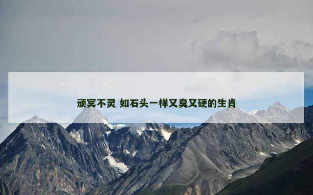 顽冥不灵 如石头一样又臭又硬的生肖