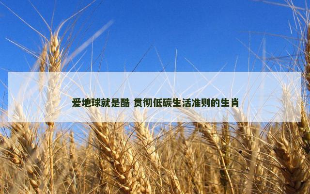 爱地球就是酷 贯彻低碳生活准则的生肖