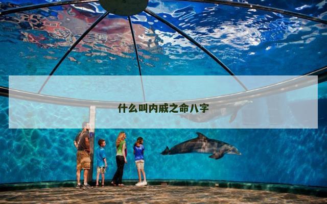 什么叫内戚之命八字