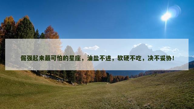 倔强起来最可怕的星座，油盐不进，软硬不吃，决不妥协！