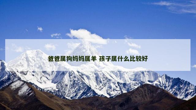 爸爸属狗妈妈属羊 孩子属什么比较好
