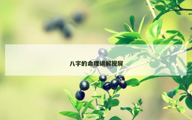 八字的命理讲解视屏