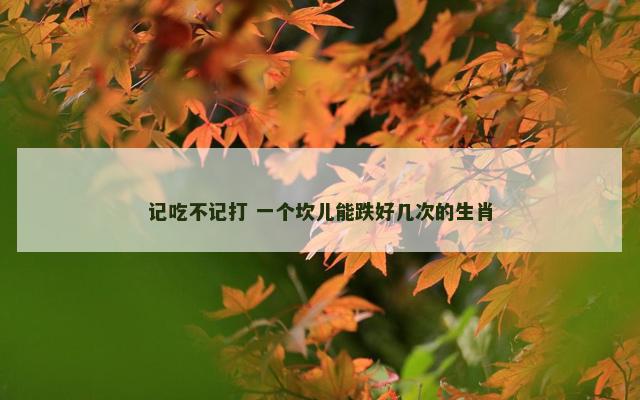 记吃不记打 一个坎儿能跌好几次的生肖