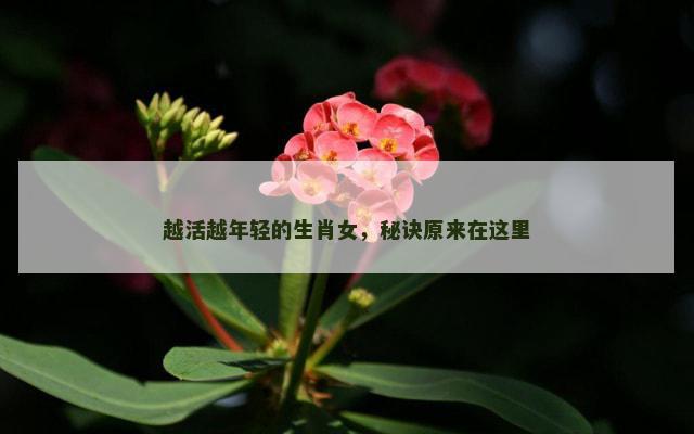 越活越年轻的生肖女，秘诀原来在这里