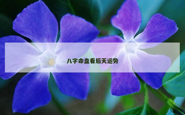 八字命盘看后天运势