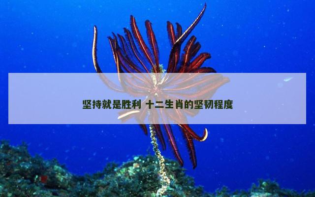 坚持就是胜利 十二生肖的坚韧程度