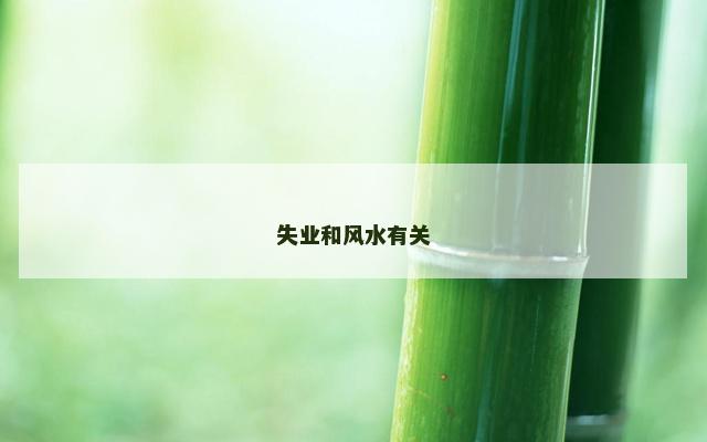 失业和风水有关