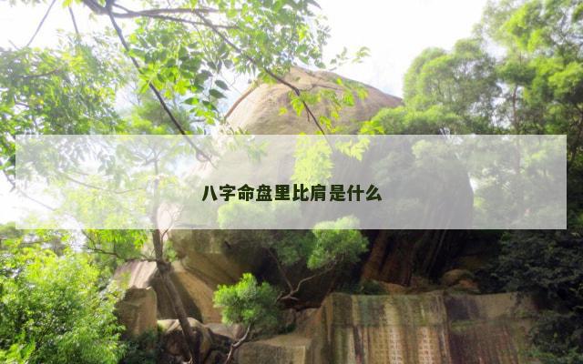 八字命盘里比肩是什么