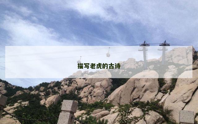 描写老虎的古诗