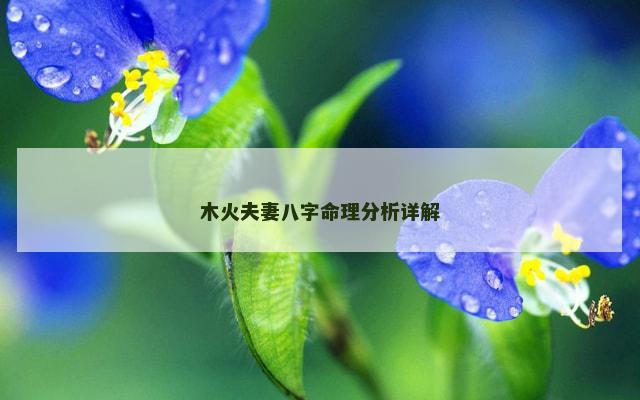 木火夫妻八字命理分析详解