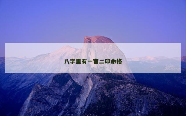 八字里有一官二印命格