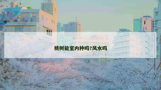 桃树能室内种吗?风水吗