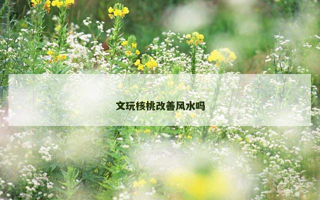文玩核桃改善风水吗