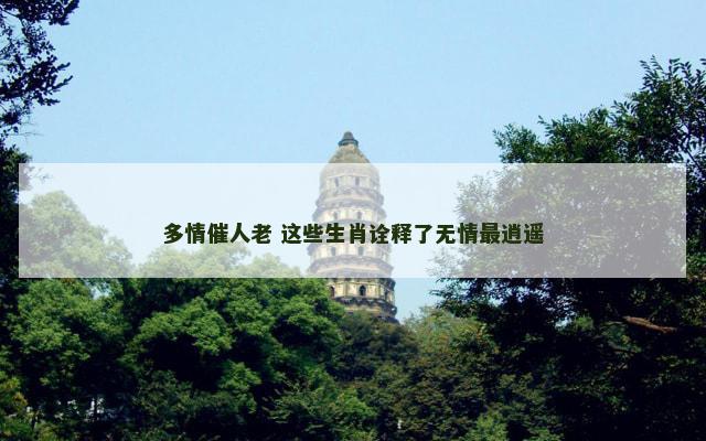 多情催人老 这些生肖诠释了无情最逍遥