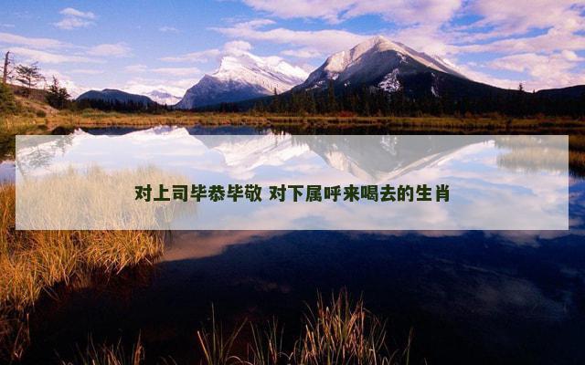 对上司毕恭毕敬 对下属呼来喝去的生肖
