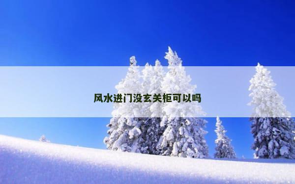 风水进门没玄关柜可以吗